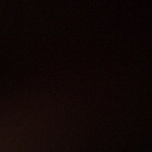 Meet your Posher, Patty